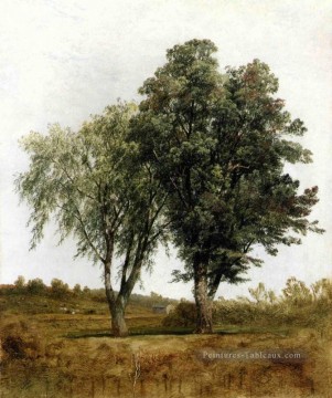 John Frederick Kensett œuvres - Une étude des arbres luminisme paysage John Frederick Kensett